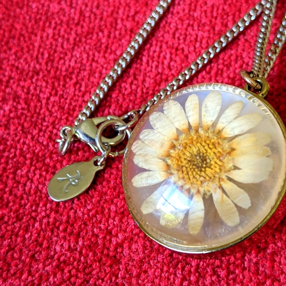 🤍🧡 REAL PRESSED DRIED DAISY FLOWER NECKLACE - Picture 5 of 6